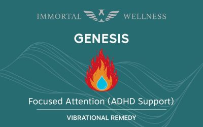 Genesis—Focused Attention and ADHD Support (A Remedy Deep Dive)